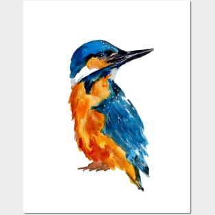 Little Kingfisher Bird Posters and Art